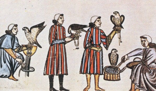 Falkonerer med falke, siddepladser og bad. Pal. lat. 1071 (Public Domain, Wikimedia Commons)